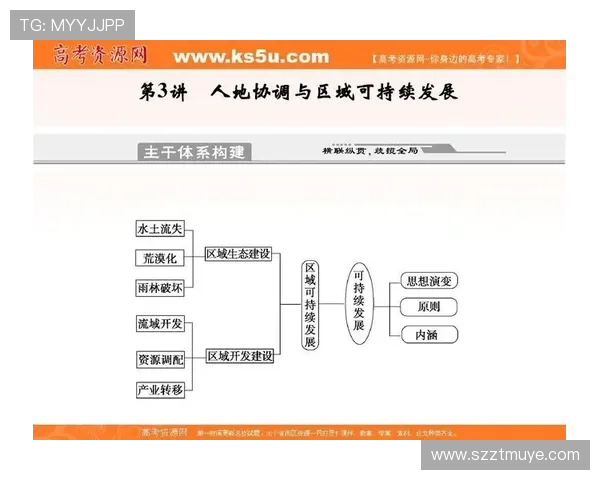新时代背景下企业家创新思维与可持续发展路径研究